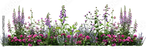 Cottage garden flower bed, brimming with a casual mix of foxgloves, lavender, and roses, isolated on transparent background
