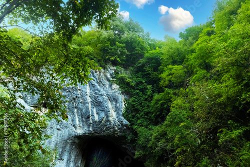 cave in the forest