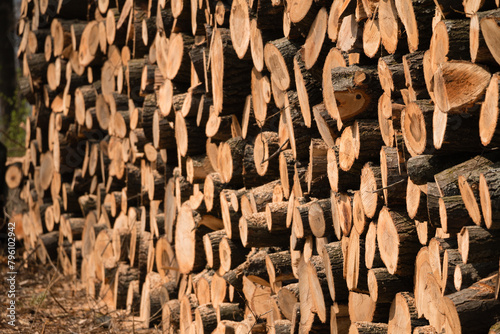 Close up of a pile of wood.