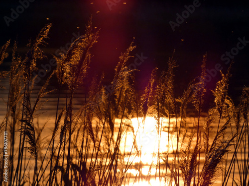 Sunset on the Warnow bank in Rostock