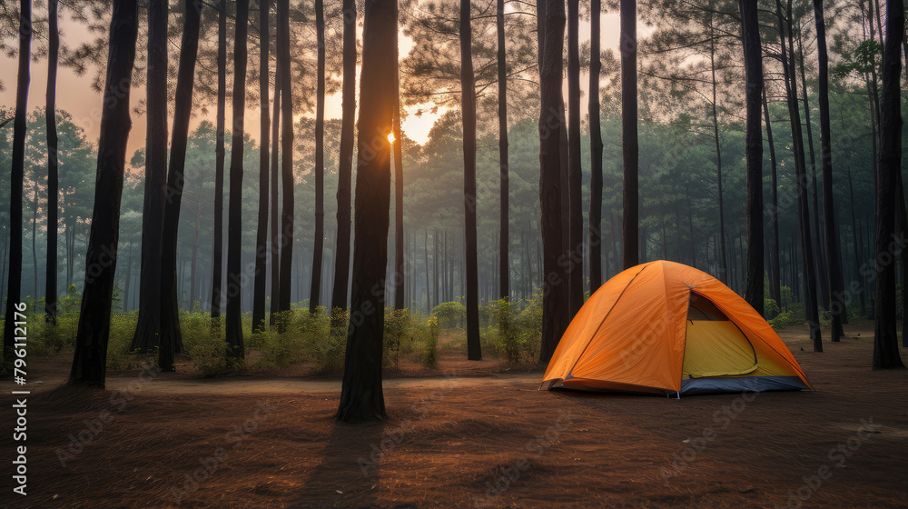 Serene Sunrise Camping Adventure in the Forest