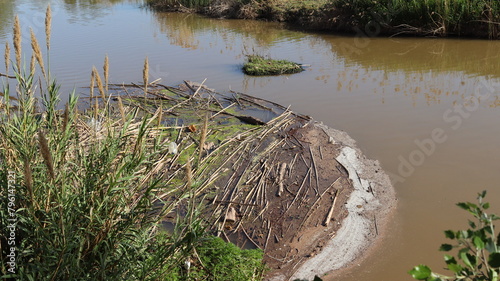 constaminacion en el rio Llobregat, residuos en el Llobregat, lastre en el Llobregat photo