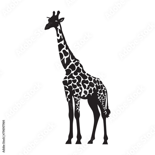 giraffe illustration vector