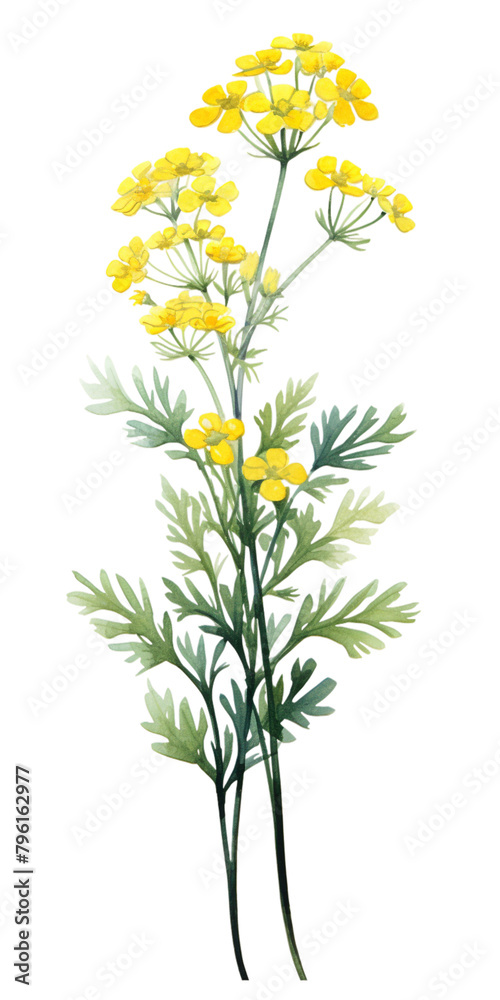 Fototapeta premium branch of a flower