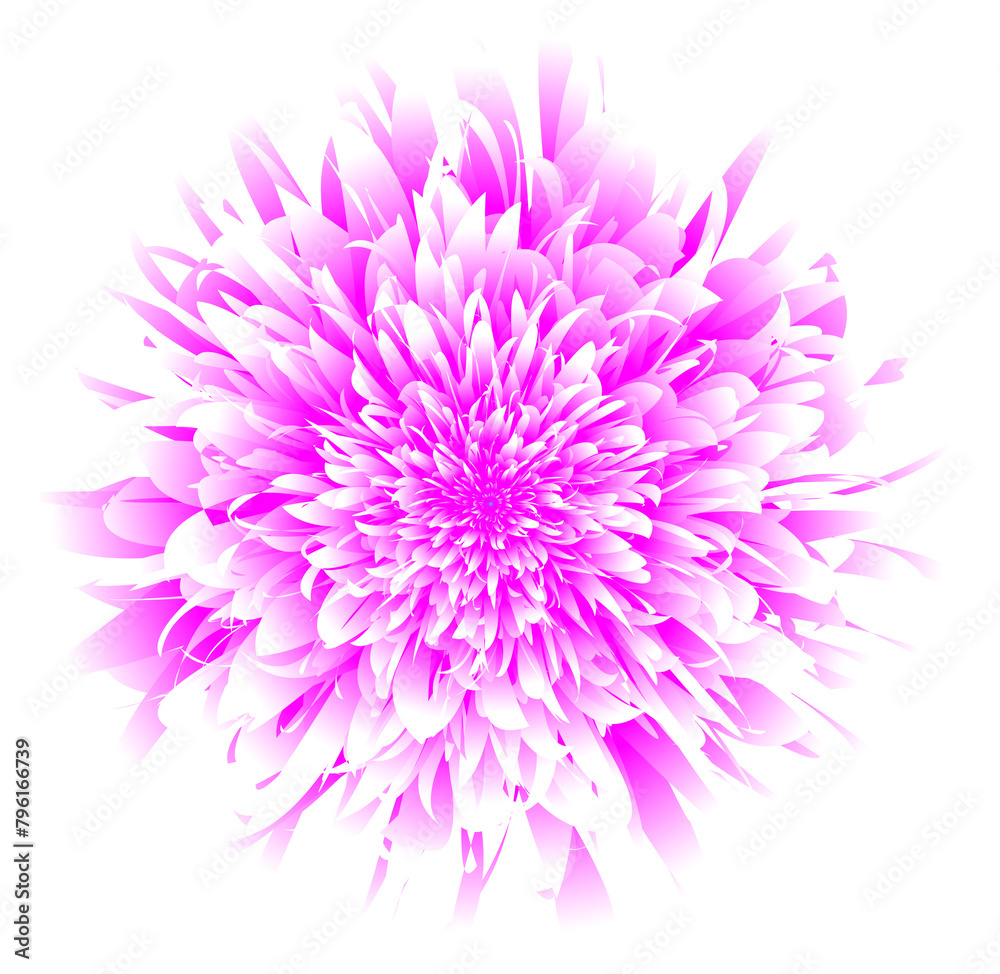 Obraz premium Floral design resembling a large blooming flower. It comes in vibrant shades of pink, transitioning from deep purples at the core to soft, almost white-pink tones at the tips of the petals