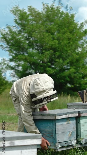 Wallpaper Mural Male apiarist working on his bee farm located in the nature. Man in special outfit opening the lids of beehives. Lots of bees flying around. Vertical video Torontodigital.ca