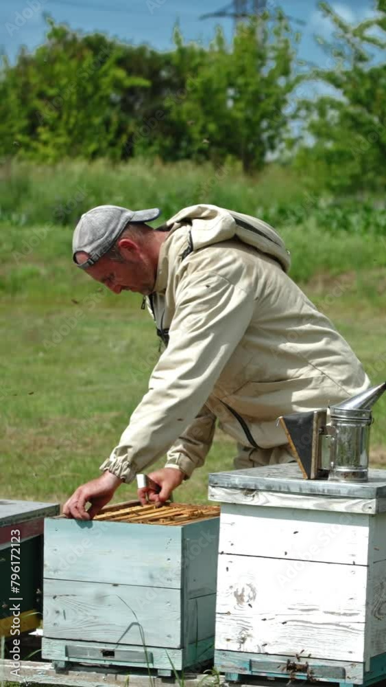 Bee farmer takes frame out of the hive. Apiarist inspecting his bee farm. Sunny summer day background. Vertical video Bee farmer takes frame out of the hive. Apiarist inspecting his bee farm. Sunny summer day background. Vertical video