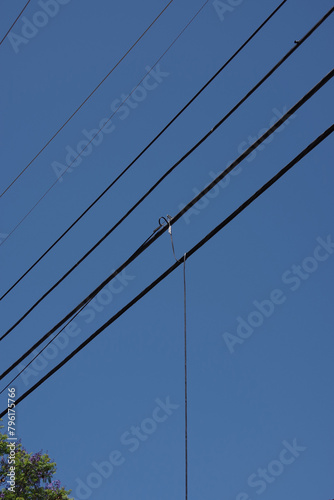 Cables in the sky over a city street in California © Jack