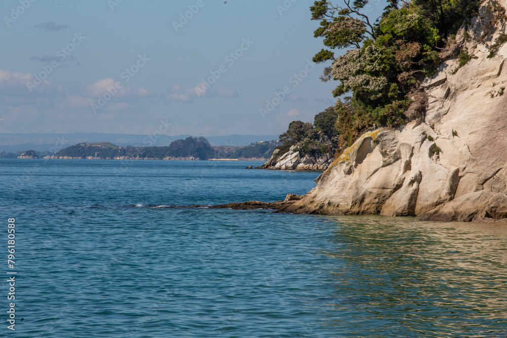 Serene Waters of Bark Bay, New Zealand - Coastal Cliffs and Lush Forests, Natural Seaside Panorama