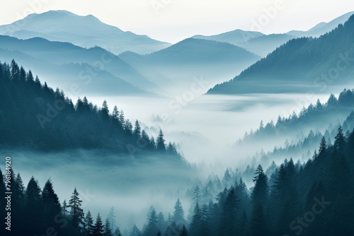 Enigmatic Fog  Transcendent Gradient Overlays Blanket Enchanting Scenes