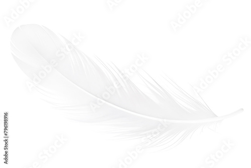 White feather isolated on transparent background.