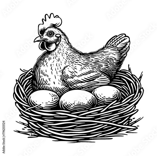 hen incubate egg in nest engraving black and white outline