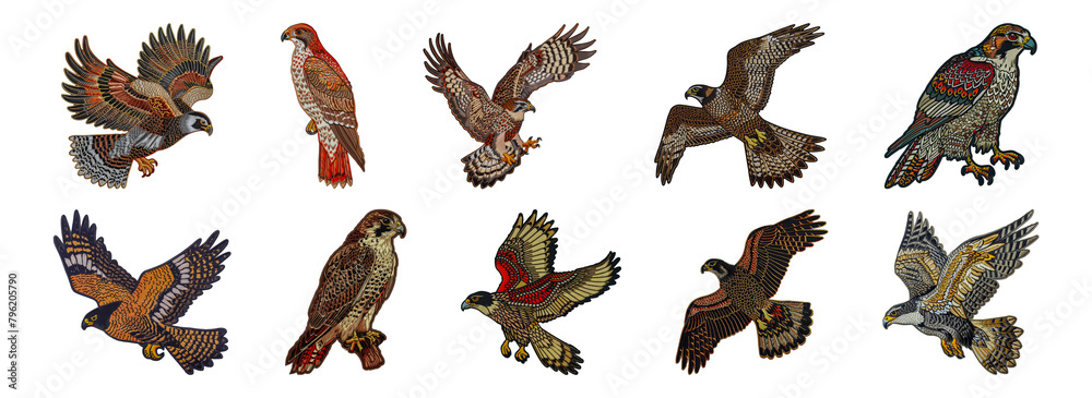 Embroidered falcon of prey in flight cut out png on transparent background Embroidered falcon of prey in flight cut out png on transparent background