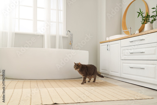 Cute cat on carpet in bathr...