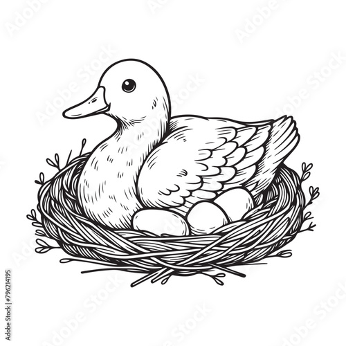 Line art of duck laying eggs on the nest vector