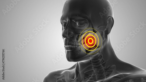 Obraz na płótnie Tooth or mandible discomfort that trigger pain