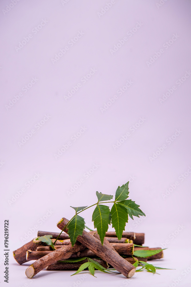 Close up top view of Indian ayurvedic herb Neem /Azadirachta Indica green leaves on white background with dry powder in glass dish with selective focus.Medicinal Neem leaves with neem paste in spoon Close up top view of Indian ayurvedic herb Neem /Azadirachta Indica green leaves on white background with dry powder in glass dish with selective focus.Medicinal Neem leaves with neem paste in spoon