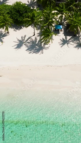 Aerial view of beautiful beach with palm trees in the tropics. Bantayan island, Philippines.