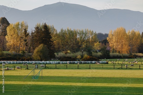 Sports field and arm in  Upper Moutere, Tasman, New Zealand. photo
