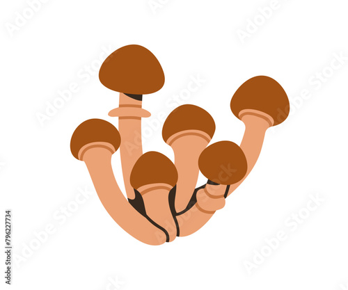 Honey fungus, Armillaria mushroom clumps, icon. Edible fungi cluster, group, bunch growing. Autumn fall forest natural food. Flat graphic vector illustration isolated on white background