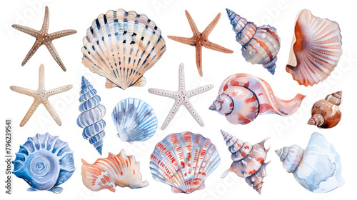 Watercolor Seashells clipart isolated on white background. sea clipart. Shell set, beach scenery. Watercolor starfish and other seashells in tropical illustration. Stickers set, summer print, design