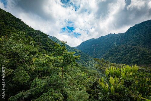 V de Selva