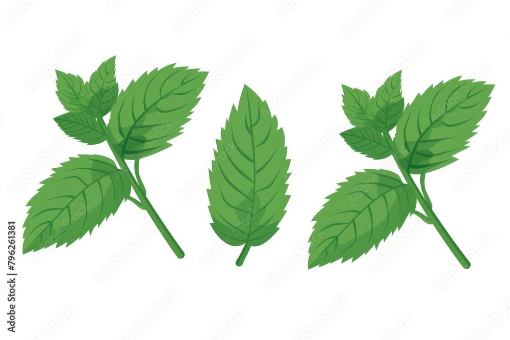 Fresh green leaves isolated on a clean white background. Perfect for eco-friendly and nature-themed designs Fresh green leaves isolated on a clean white background. Perfect for eco-friendly and nature-themed designs