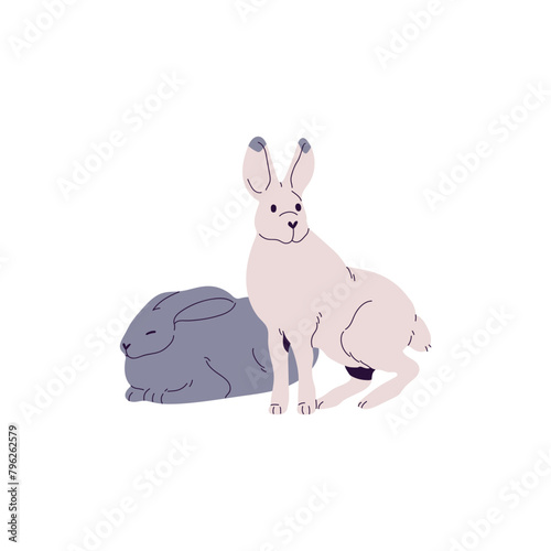 Wild Antarctic rabbits. Cute pair of Arctic hare. Polar bunnies with winter color of coat. Fluffy animals, fauna of cold tundra, north forest. Flat isolated vector illustration on white background