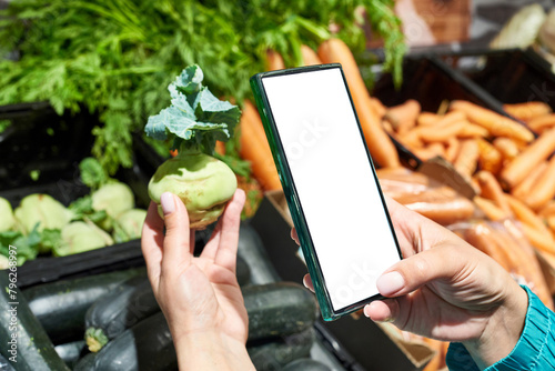 Kohlrabi cabbage vegetable in hand and smartphone