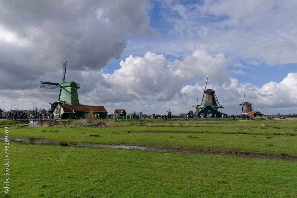 Fototapeta premium Landscape of North Holland, Nature, views, environment.