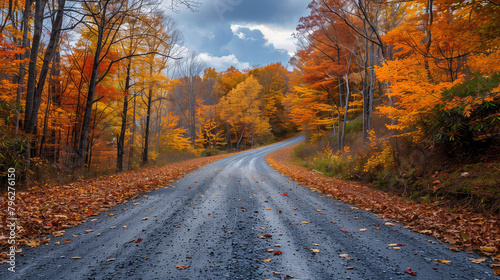 A road with autumn leaves on the ground