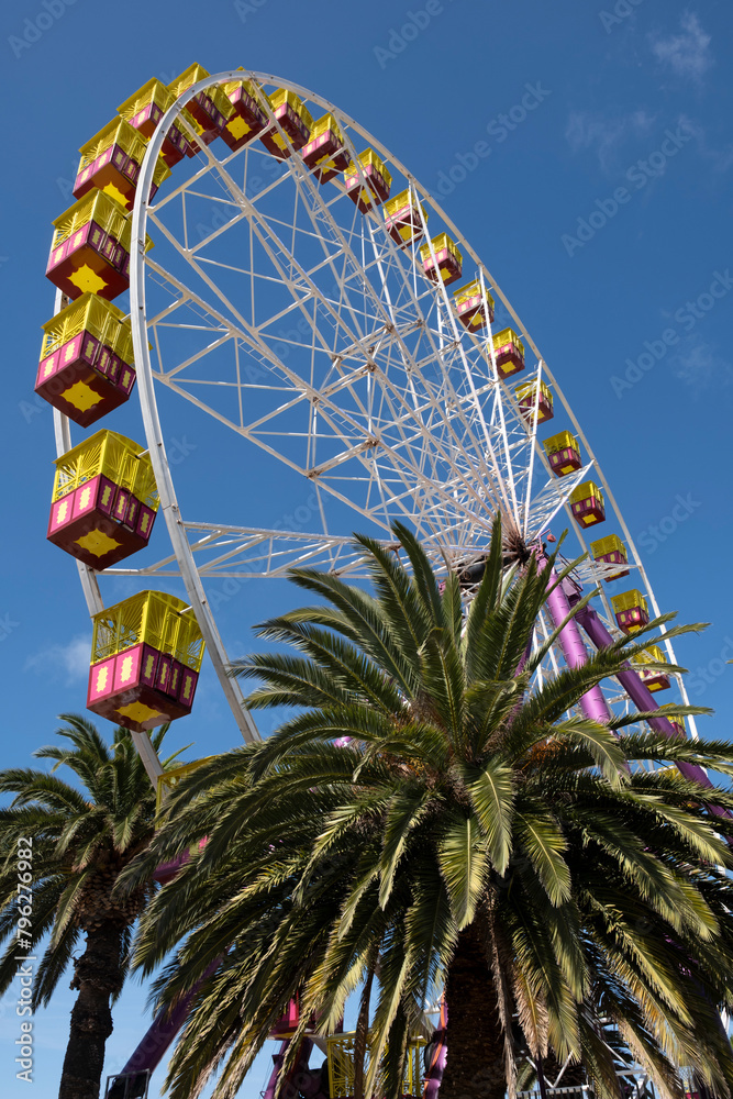 Fototapeta premium The Giant Sky Wheel in Geelong, Australia. The largest, most spectacular Ferris Wheel in the Southern Hemisphere. Geelong, Australia