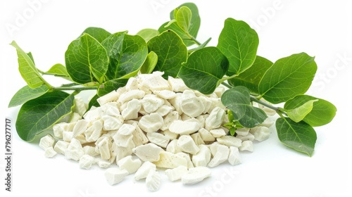 Chios Mastic Tears with Lentisk Leaves. A Heap of Mastic on Isolated White Background, Symbol photo
