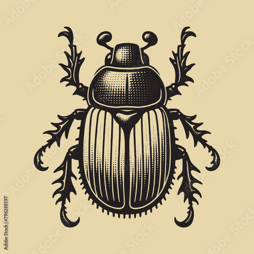 Chafer. Bug. Insect.   Vintage retro engraving illustration. Black icon, isolated element	