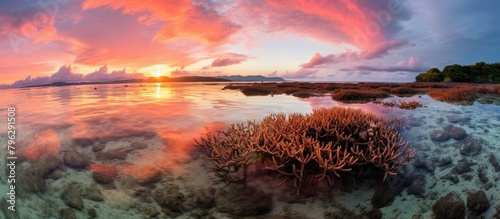 Sunset over vibrant coral reef photo