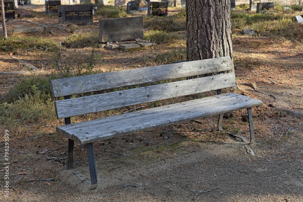 Empty wooden bench in cemetery by the side of a path in spring. Empty wooden bench in cemetery by the side of a path in spring.