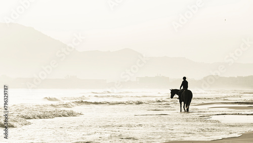 Rider in silhouette excercising the horse © Nicole Ciscato