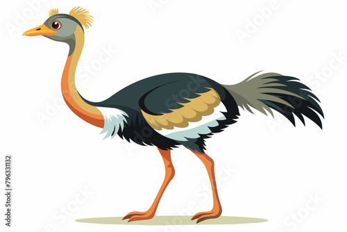 Ostrich vector with white background. photo