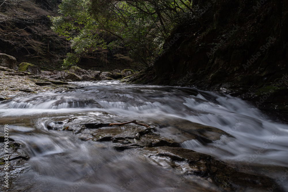 Fototapeta premium 爽やかな川の流れ