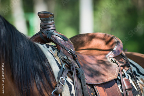 Detail of a western saddle photo