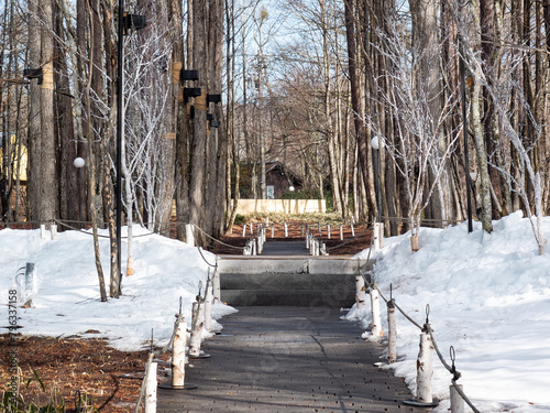 Beautiful snow scene in Karuizawa, Japan