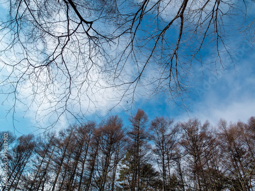 Beautiful scenery of Karuizawa, Japan