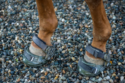 Protective shoes for barefoot horses