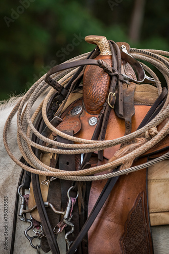 Detail of a western saddle