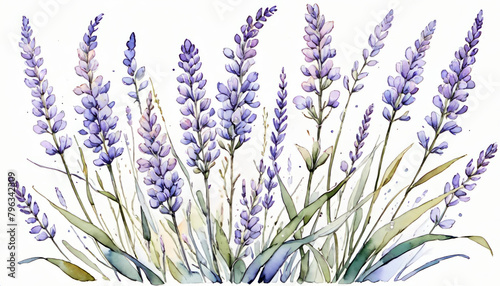 Elegant watercolor lavender flowers illustration, perfect for spring-themed designs, Mother's Day content, and wellness or aromatherapy concepts