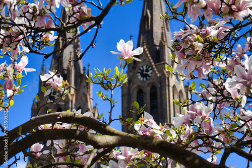 Blooming tree in detail view with Church of St. Ludmila in background. Czech Republic.