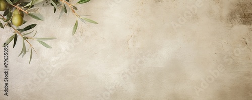Olive old scratched surface background blank empty with copy space for product design or text copyspace mock-up 