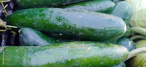 Close up of Cucumber  in the market