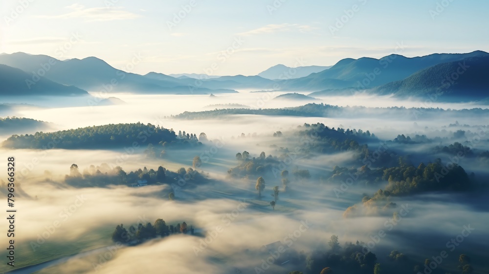 Fototapeta premium a foggy landscape with trees and mountains