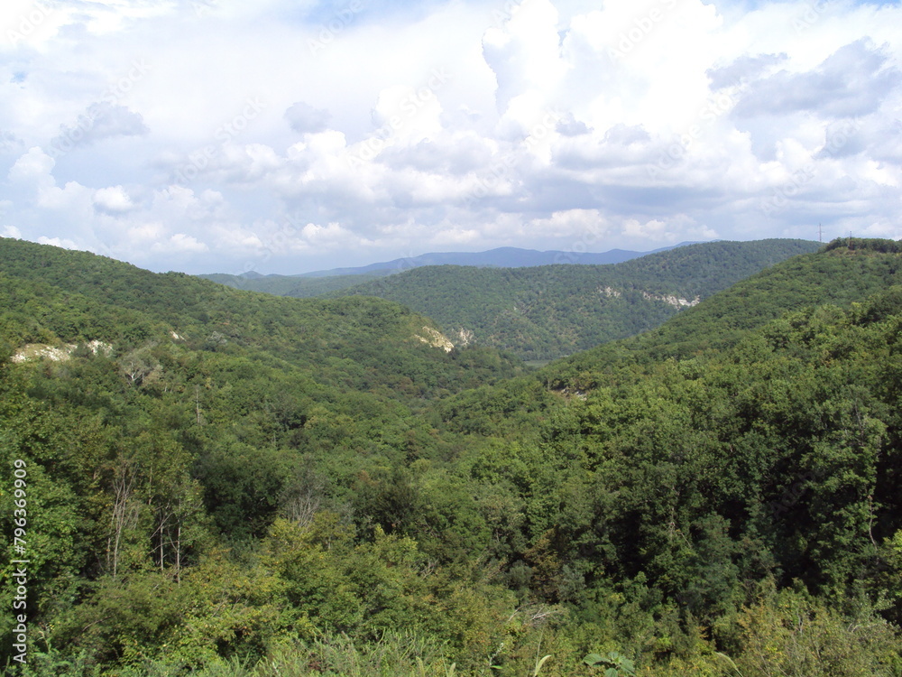 Fototapeta premium mountains, summer, nature, grass, trees